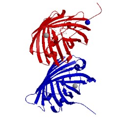 Image of CATH 2ddc