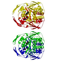 Image of CATH 2dds