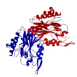 Image of CATH 2ddt