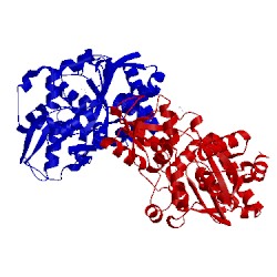 Image of CATH 2de4