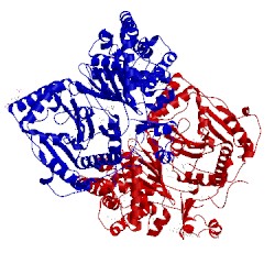 Image of CATH 2deb