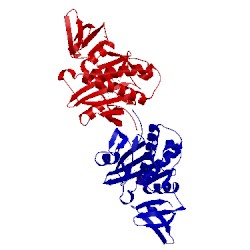 Image of CATH 2deq