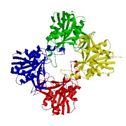 Image of CATH 2df5
