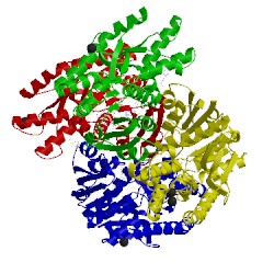 Image of CATH 2dfd