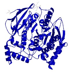 Image of CATH 2dfp