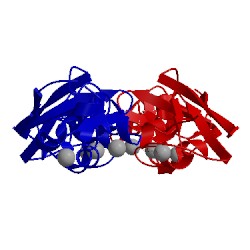 Image of CATH 2dfy