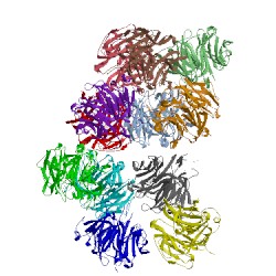 Image of CATH 2dg0