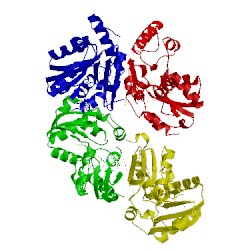 Image of CATH 2dgd
