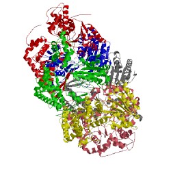 Image of CATH 2dhr