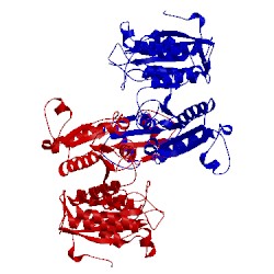 Image of CATH 2dht