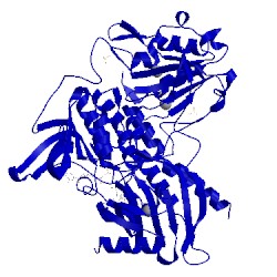 Image of CATH 2dki