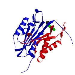 Image of CATH 2dko