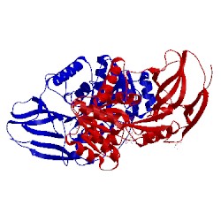 Image of CATH 2dm6