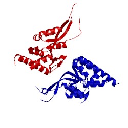 Image of CATH 2dok