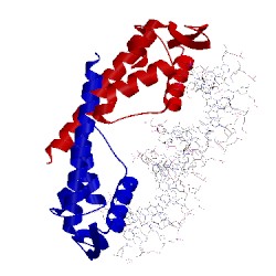 Image of CATH 2dpd