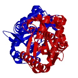 Image of CATH 2dpl