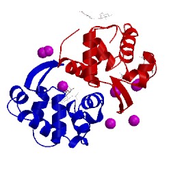 Image of CATH 2dqa