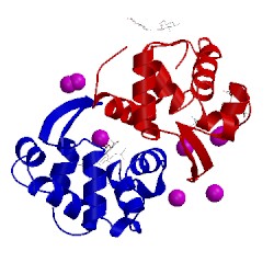 Image of CATH 2dqa