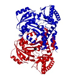 Image of CATH 2dr1