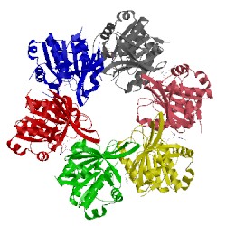 Image of CATH 2dr3