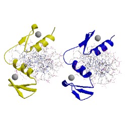 Image of CATH 2drp