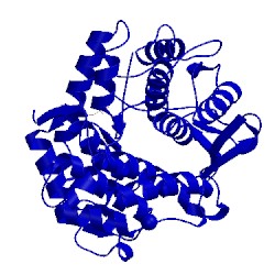 Image of CATH 2drs