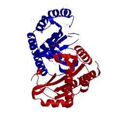 Image of CATH 2drv