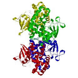 Image of CATH 2dsa