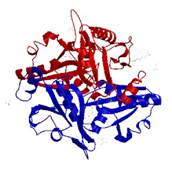 Image of CATH 2dsi
