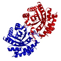 Image of CATH 2dsk