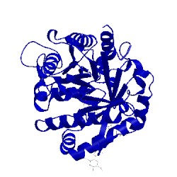 Image of CATH 2dt2
