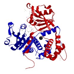 Image of CATH 2dt5