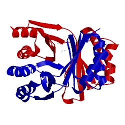 Image of CATH 2dt9