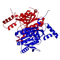 Image of CATH 2dtd