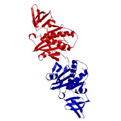Image of CATH 2dto