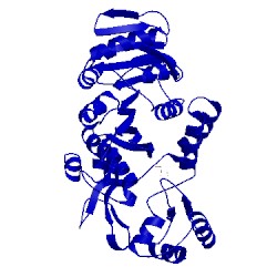 Image of CATH 2dul
