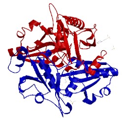 Image of CATH 2dv7