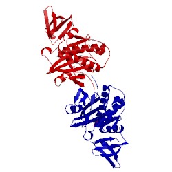 Image of CATH 2dve