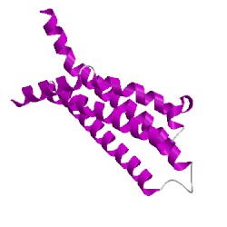 Image of CATH 2dvlA03