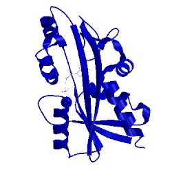 Image of CATH 2dvo
