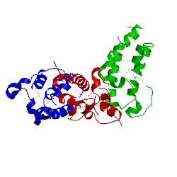 Image of CATH 2dvs