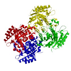 Image of CATH 2dvt