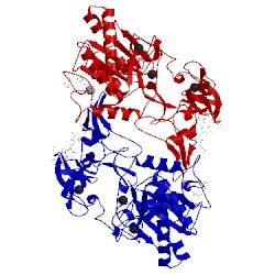 Image of CATH 2dw0