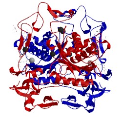 Image of CATH 2dw1