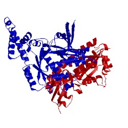 Image of CATH 2dwq