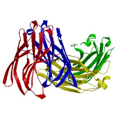 Image of CATH 2dwy