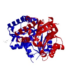 Image of CATH 2dx7