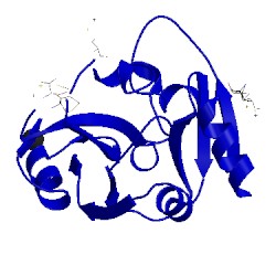 Image of CATH 2dxa