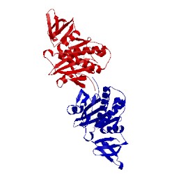 Image of CATH 2dxt