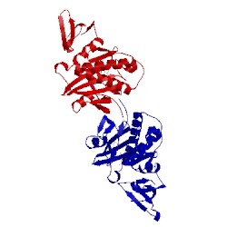 Image of CATH 2dxu